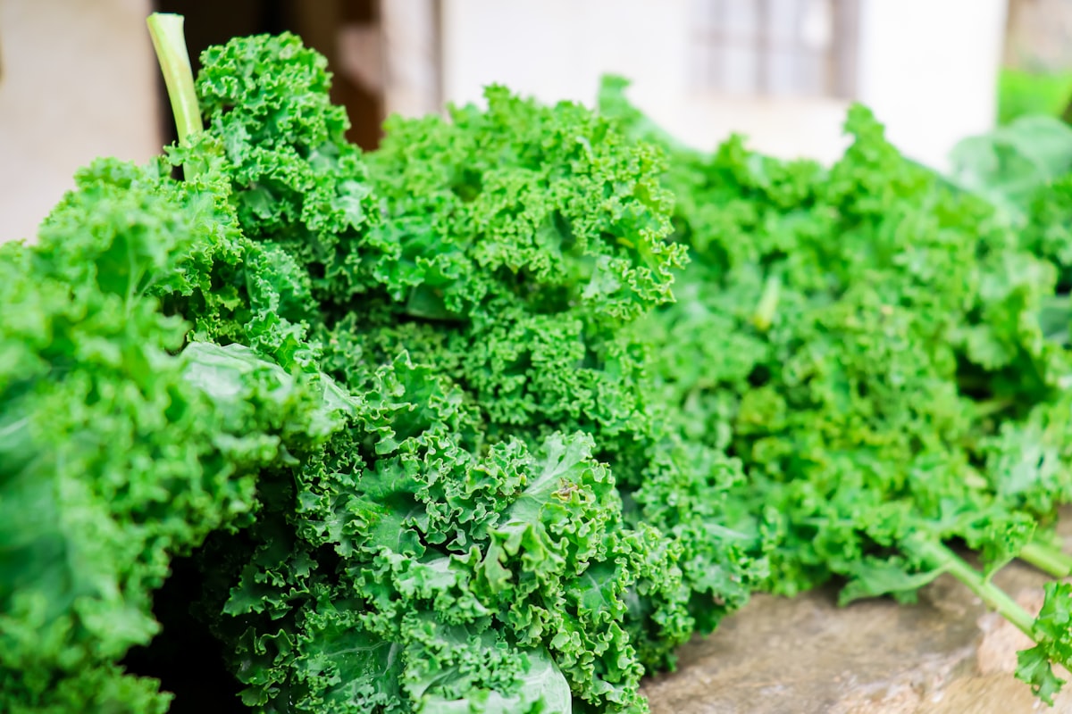 Fresh kale leaves